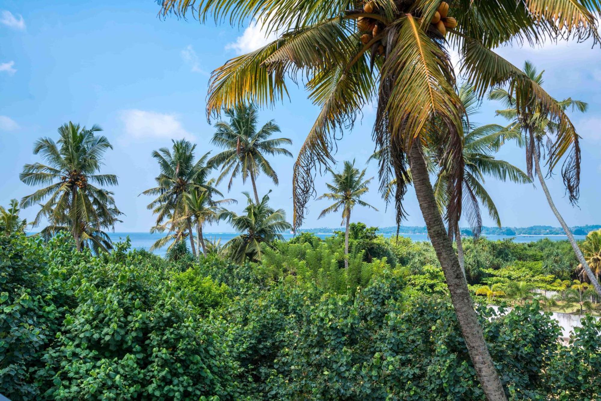 Outpost Weligama Beachfront الغرفة الصورة